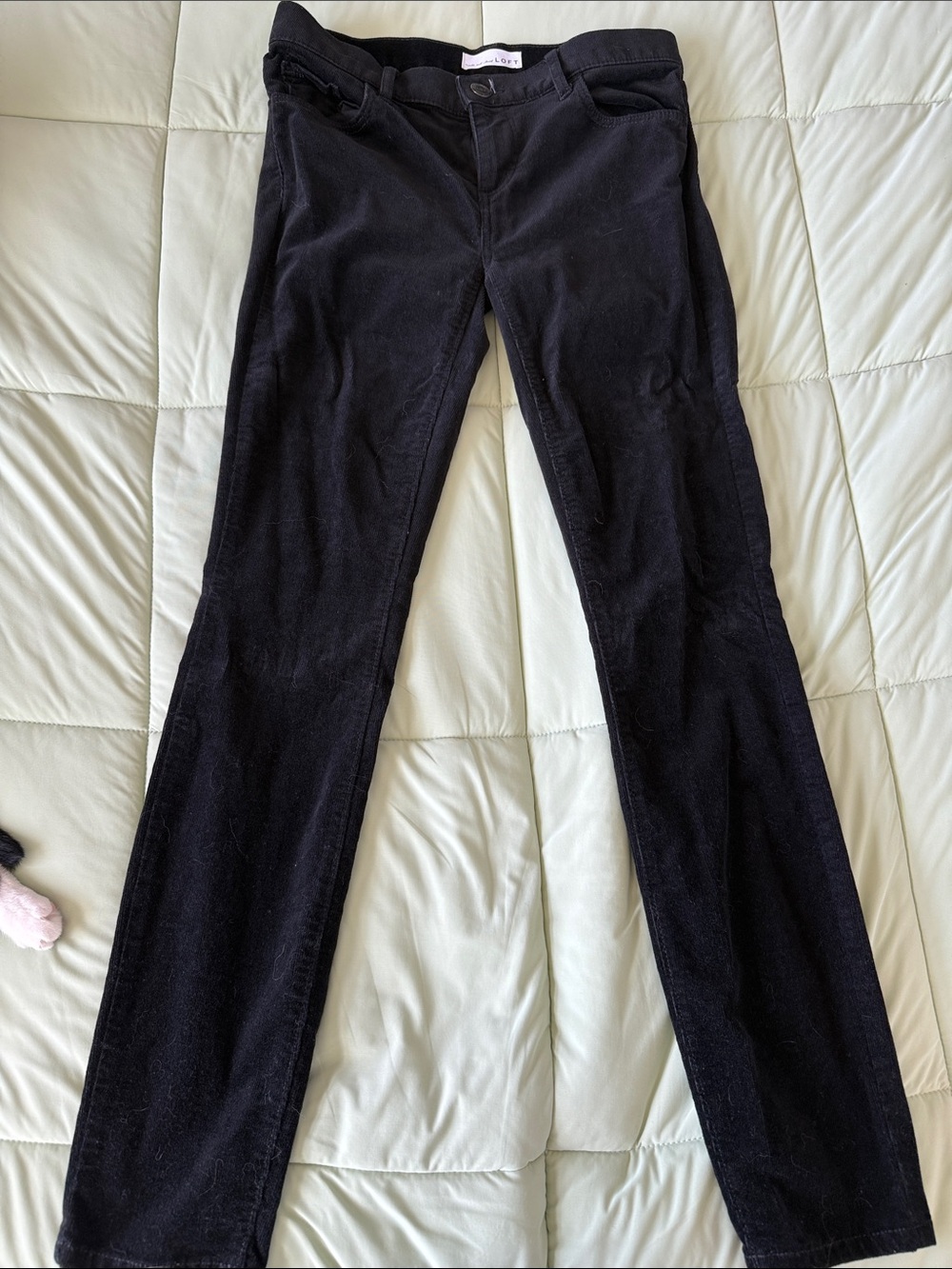 LOFT Black Skinny Jeans